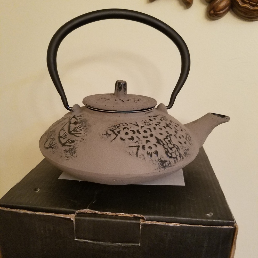NEW Royal Kasite Bonzai Cast Iron Teapot